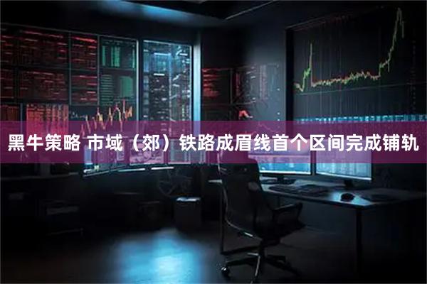 黑牛策略 市域（郊）铁路成眉线首个区间完成铺轨