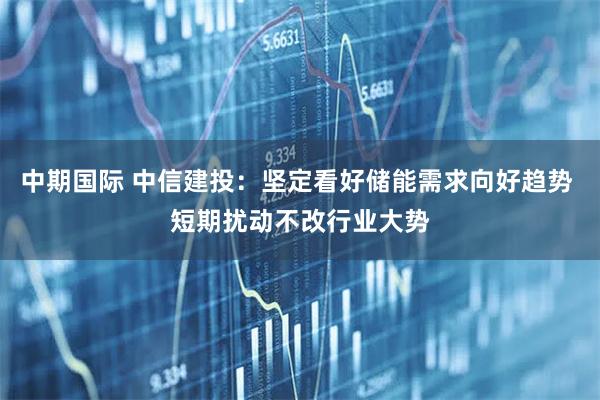 中期国际 中信建投：坚定看好储能需求向好趋势 短期扰动不改行业大势